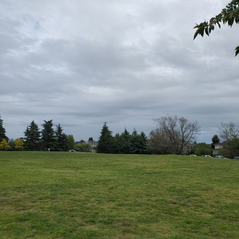 Queen Elizabeth Park - Dog park area, wide open - Parks Near Me - Vancouver, British Columbia