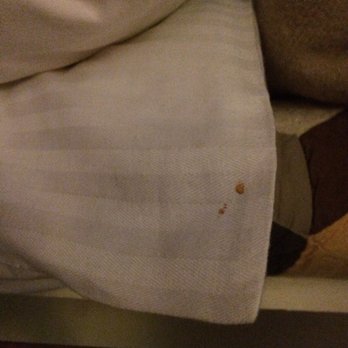 Tabard Inn - Blood stained pillows. - Bed & Breakfast Near Me - Washington, DC, District of Columbia