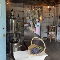 Bayfield Lavender Farm