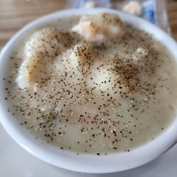 Michigans Plus - Chicken Dumpling Soup