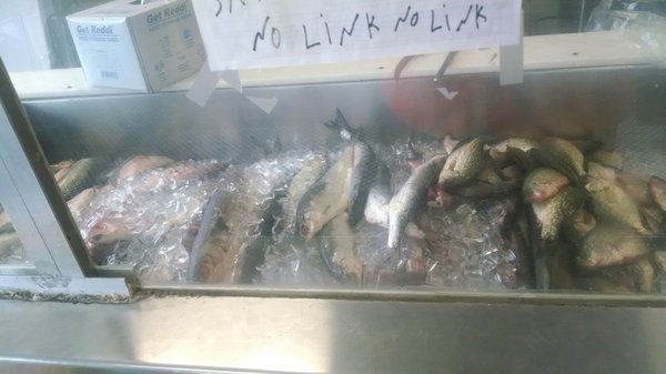 Market Fish 2 by null