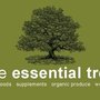 Photo of The Essential Tree
