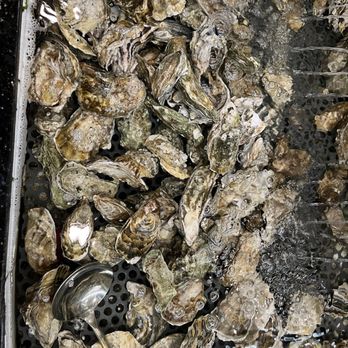 99 Ranch Market - Clams - Grocery Near Me - Daly City, California