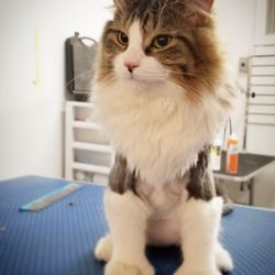 Spa Le Petlandais