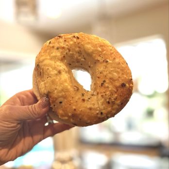 Jeff's Bagel Run - Bagels Near Me - Ocoee, Florida