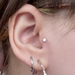 Best Piercing Shops Near Me - January 2026: Find Nearby Piercing Shops