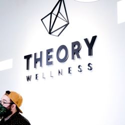 Theory Wellness - Chicopee