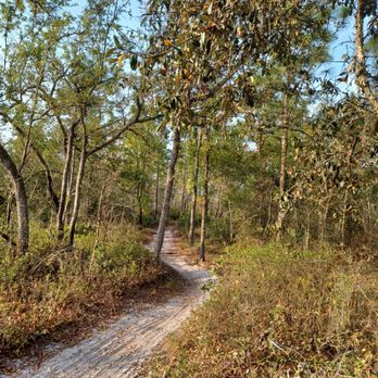 Little Big Econ State Forest - Hiking Near Me - Geneva, Florida Little Big Econ State Forest - Hiking Near Me - Geneva, Florida