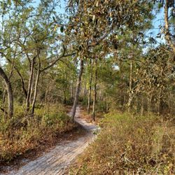 Little Big Econ State Forest