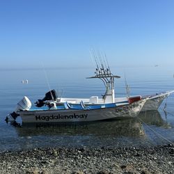 Magdalena Bay Whales Watching