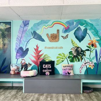 Hawai'i Cat Café - Pet Adoption Near Me - Honolulu, Hawaii Hawai'i Cat Café - Pet Adoption Near Me - Honolulu, Hawaii