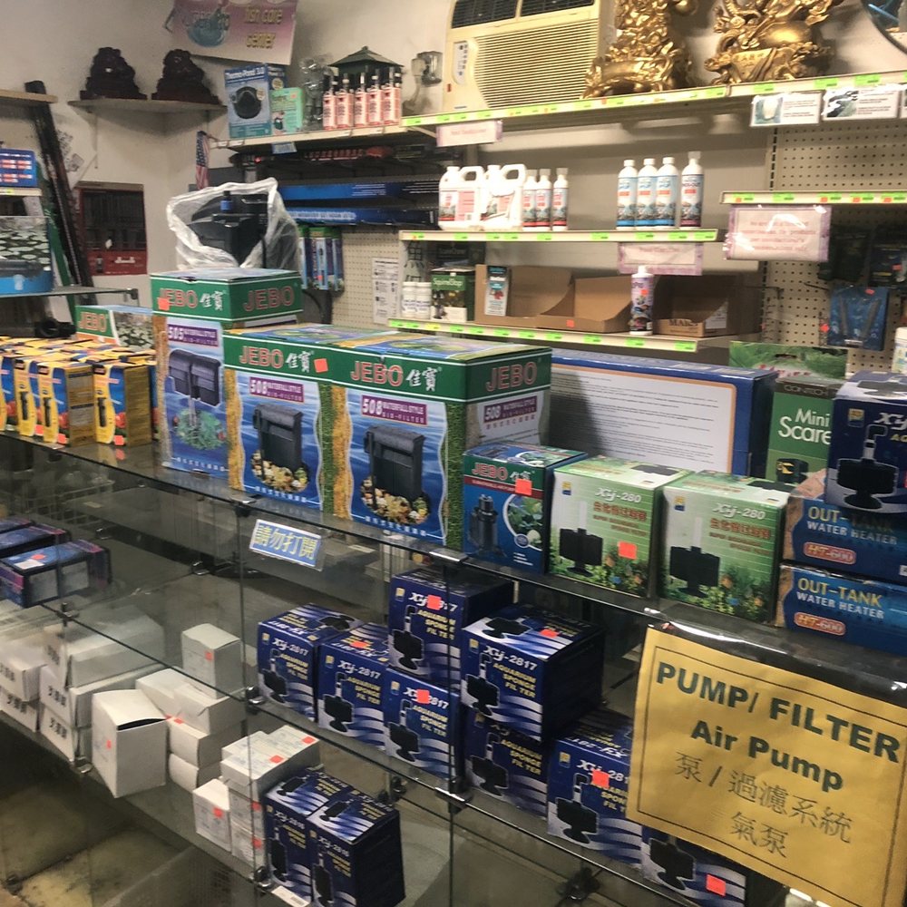 Pond 101 - a variety of filters in a store - Landscaping Near Me - San Gabriel, California Pond 101 - a variety of filters in a store - Landscaping Near Me - San Gabriel, California