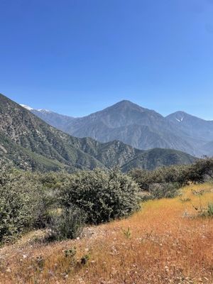 Claremont Hills Wilderness Park by null