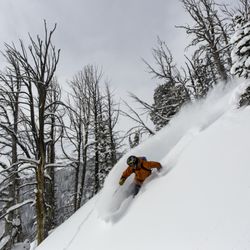 Endless Turns Ski & Adventure Travel - Steep & Deep in Jackson, Wyoming