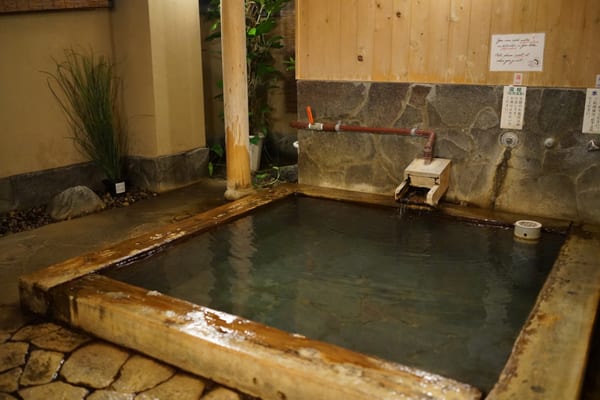 Nogamihonkan Ryokan by null