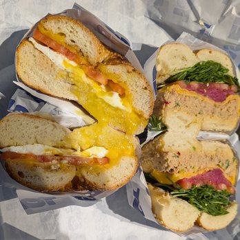 Toasted - Egg & Cheese Sandwich and Harissa Tuna Melt - Bagels Near Me - Seattle, Washington Toasted - Egg & Cheese Sandwich and Harissa Tuna Melt - Bagels Near Me - Seattle, Washington
