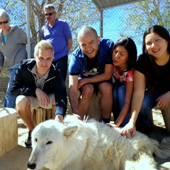 Wolf Mountain Sanctuary - Animal Shelters Near Me - Lucerne Valley, California Wolf Mountain Sanctuary - Animal Shelters Near Me - Lucerne Valley, California