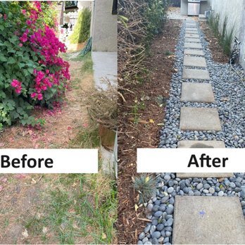 Art House Landscape - Before and after side yard, from turf to drought-tolerant - Landscaping Near Me - Los Angeles, California