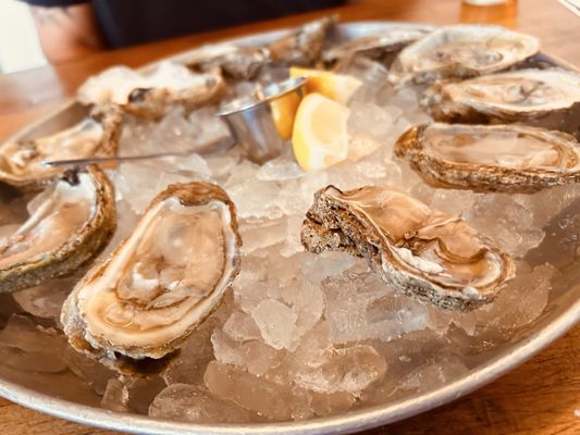 Calico Fish House by null