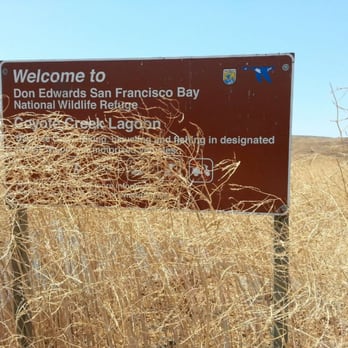 Coyote Creek Lagoon - Mountain Biking Near Me - Fremont, California