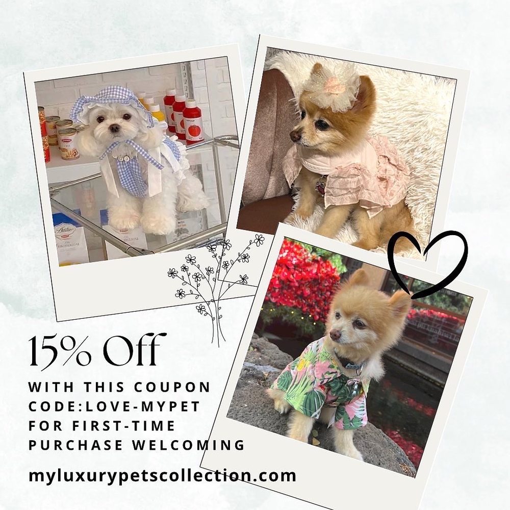 MY LUXURY PETS COLLECTION Request Information 15 Photos Honolulu, Hawaii Pet Stores