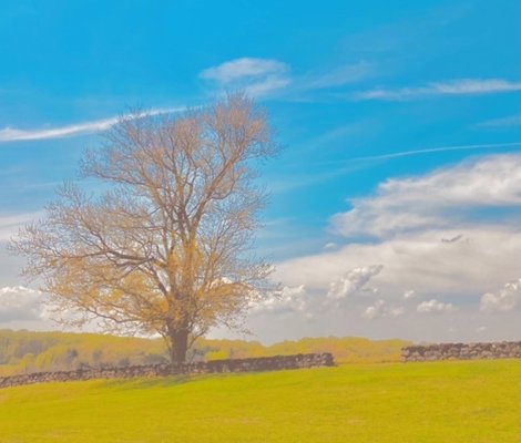 Brandywine Creek State Park by null