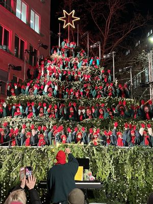 Singing Christmas Tree by null