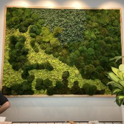 Yura Vine Brothers - Cool living moss mural