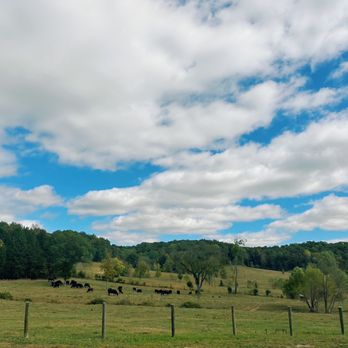 Goldman Ranch Wedding Venue - Wedding Chapels Near Me - Hampshire, Tennessee Goldman Ranch Wedding Venue - Wedding Chapels Near Me - Hampshire, Tennessee