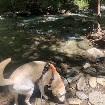 Catawba Falls - Hiking Near Me - Old Fort, North Carolina Catawba Falls - Hiking Near Me - Old Fort, North Carolina
