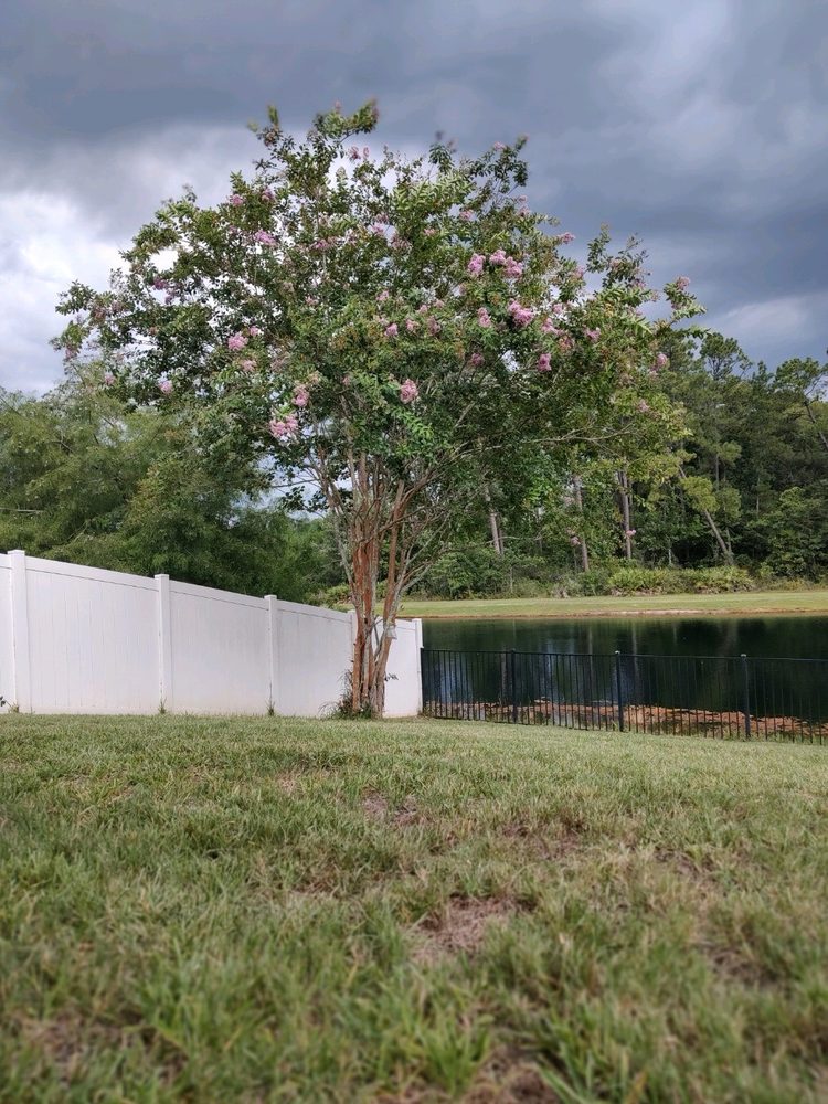 Jamie's Tree Service - tree service in Jacksonville, FL