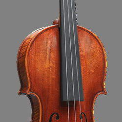 Alexeas Guitars