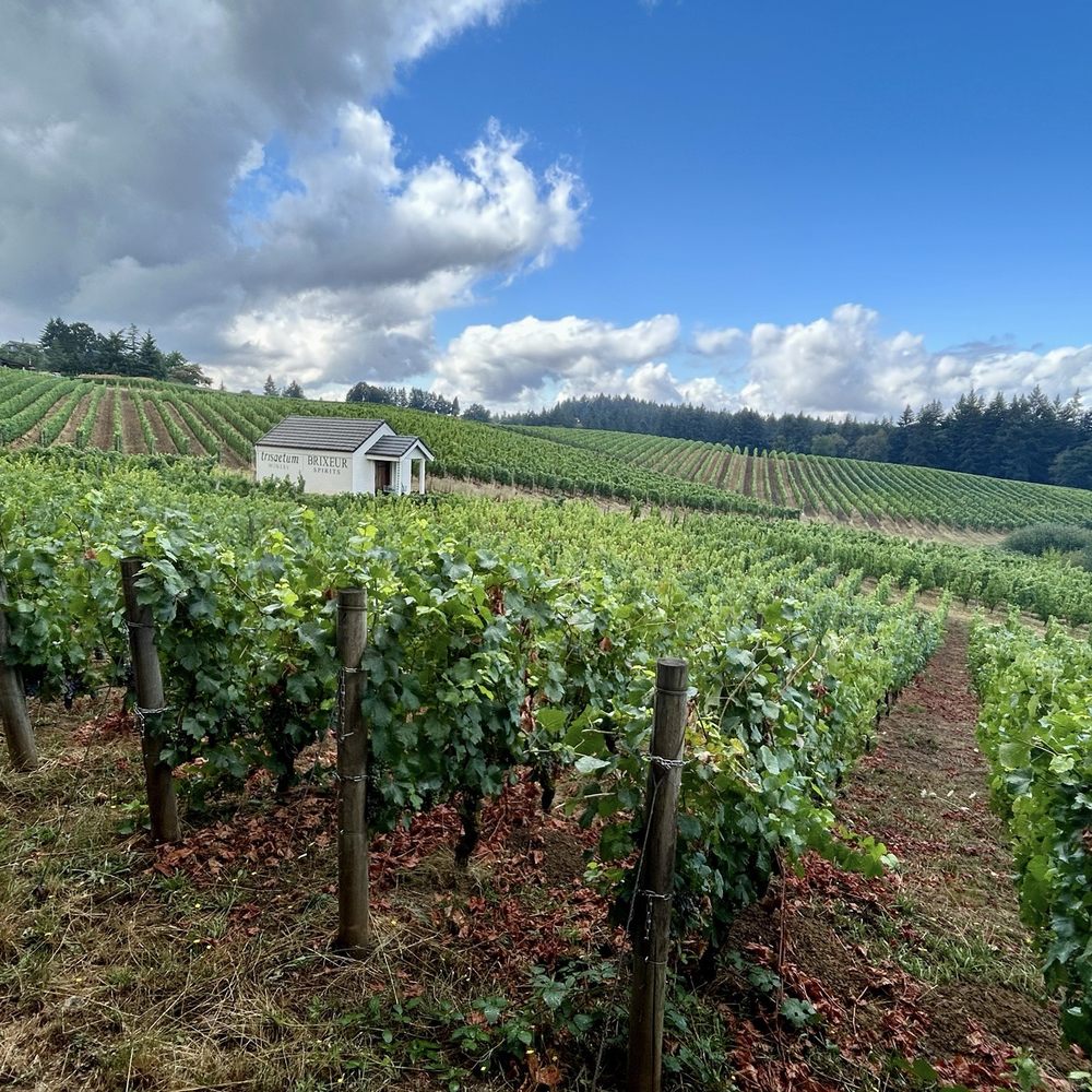 Trisaetum Winery - Wineries Near Me - Newberg, Oregon Trisaetum Winery - Wineries Near Me - Newberg, Oregon
