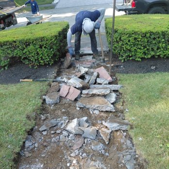 Yener Tree Services And Landscaping - Tree Services Near Me - Lynn, Massachusetts Yener Tree Services And Landscaping - Tree Services Near Me - Lynn, Massachusetts