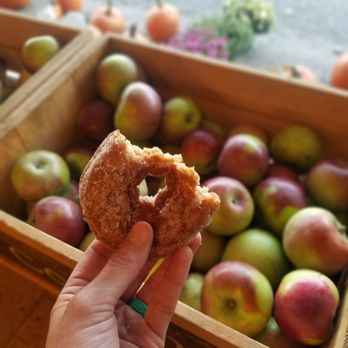 Red Apple Farm - The best (warm!) apple cider donuts!! - Farmers Market Near Me - Phillipston, Massachusetts Red Apple Farm - The best (warm!) apple cider donuts!! - Farmers Market Near Me - Phillipston, Massachusetts