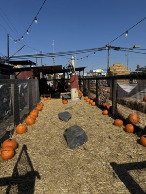 Simonian Farms by null