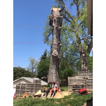 Atrium Tree Service - Tree Services Near Me - Papillion, Nebraska Atrium Tree Service - Tree Services Near Me - Papillion, Nebraska