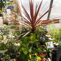 C&C Nursery and Landscape Maintenance
