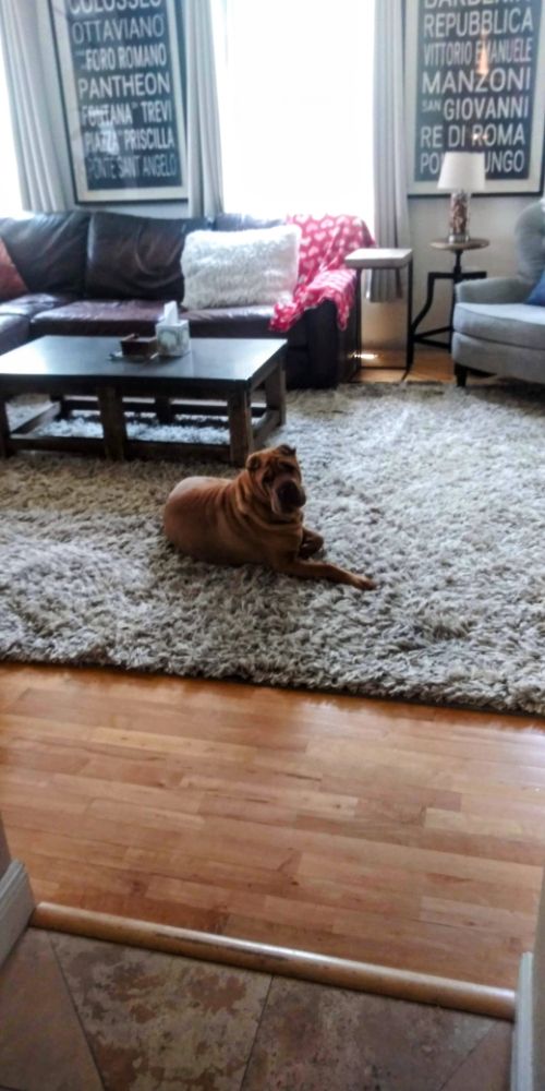 NEM PERFECTLY CLEAN 28 Photos Zephyrhills, Florida Home Cleaning