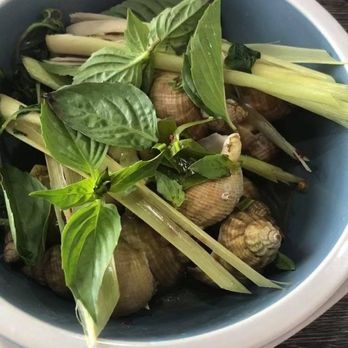 Viet Kitchen - Vietnamese Near Me - Tampa, Florida Viet Kitchen - Vietnamese Near Me - Tampa, Florida