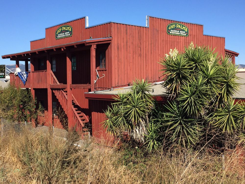 JAY PALM SADDLE SHOP 10 Reviews Horse Equipment Shops 5004