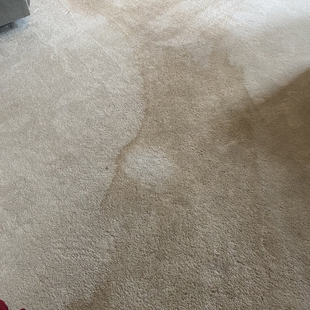 We Clean Carpet - Carpet Cleaning Near Me