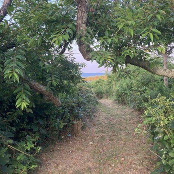 Sea Breeze - Trail on property leads to hammock - Bed & Breakfast Near Me - Block Island, Rhode Island Sea Breeze - Trail on property leads to hammock - Bed & Breakfast Near Me - Block Island, Rhode Island
