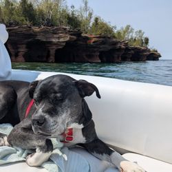 Adventures Vacations & Boat Charters - Our dog-friendly boat tour