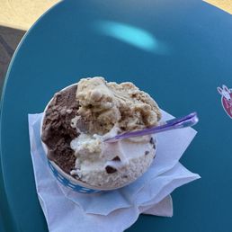 Mint Chocolate Chip