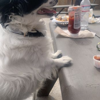 805 Barbeque - SANCHITO'S Even Enjoying 805 BBQ. - Burgers Near Me - Nipomo, California 805 Barbeque - SANCHITO'S Even Enjoying 805 BBQ. - Burgers Near Me - Nipomo, California