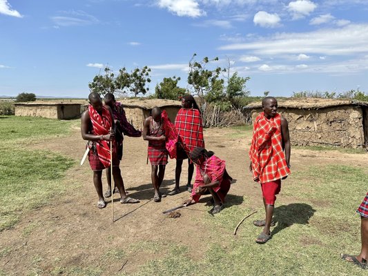 Lion World Travel by null