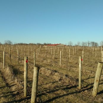 Daniel's Vineyard - Wineries Near Me - McCordsville, Indiana