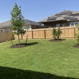 Love my trees