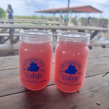 Southern Hill Farms - Strawberry Margarita - Fruits & Veggies Near Me - Clermont, Florida Southern Hill Farms - Strawberry Margarita - Fruits & Veggies Near Me - Clermont, Florida